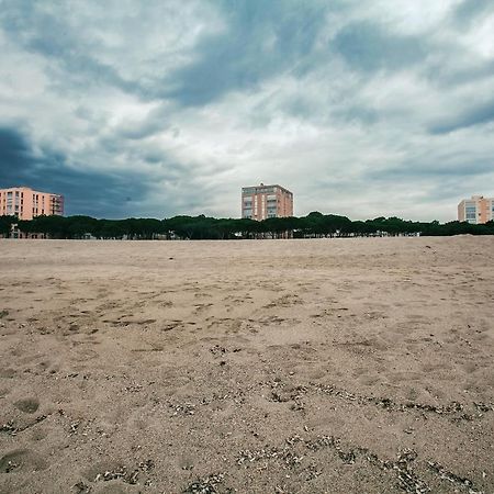 Studio Les Pieds Dans L'Eau Argeles Sur Mer Bagian luar foto