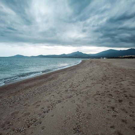 Studio Les Pieds Dans L'Eau Argeles Sur Mer Bagian luar foto