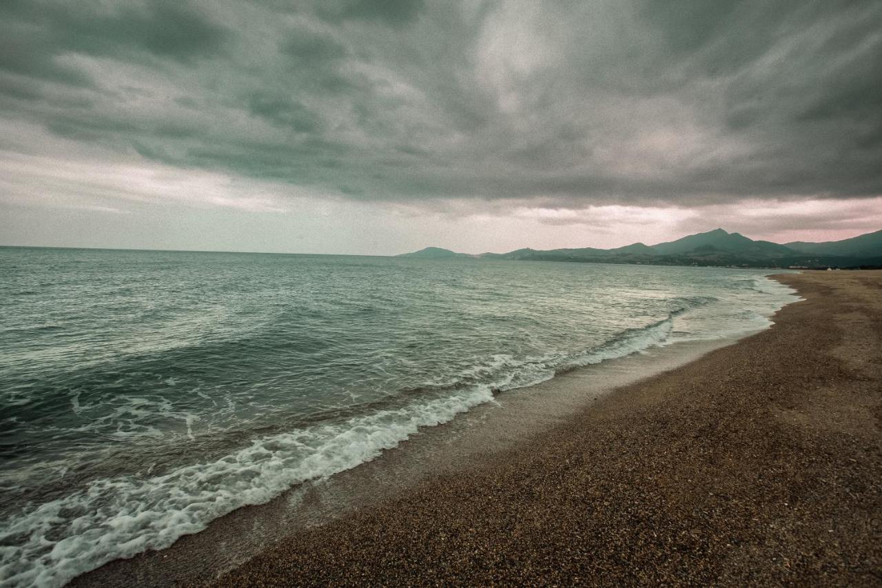 Studio Les Pieds Dans L'Eau Argeles Sur Mer Bagian luar foto