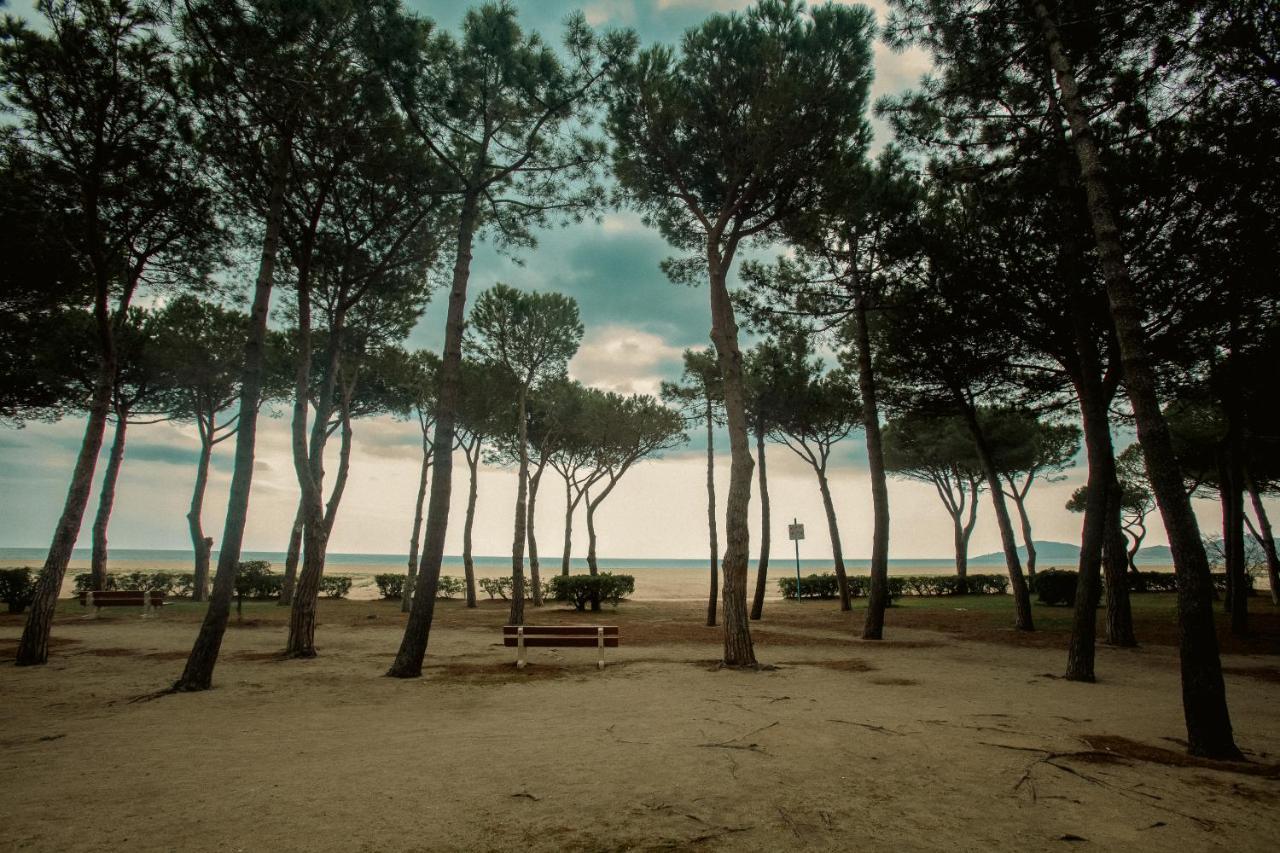Studio Les Pieds Dans L'Eau Argeles Sur Mer Bagian luar foto